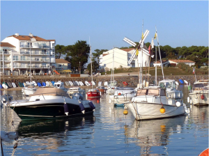 achat immobilier jard sur mer